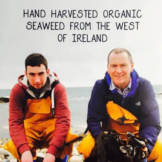 Hand Harvested Organic Seaweed