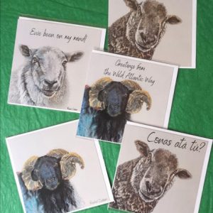 Rachel_Dubber_Sheep_Cards